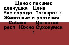 Щенок пекинес девчушка › Цена ­ 2 500 - Все города, Таганрог г. Животные и растения » Собаки   . Дагестан респ.,Южно-Сухокумск г.